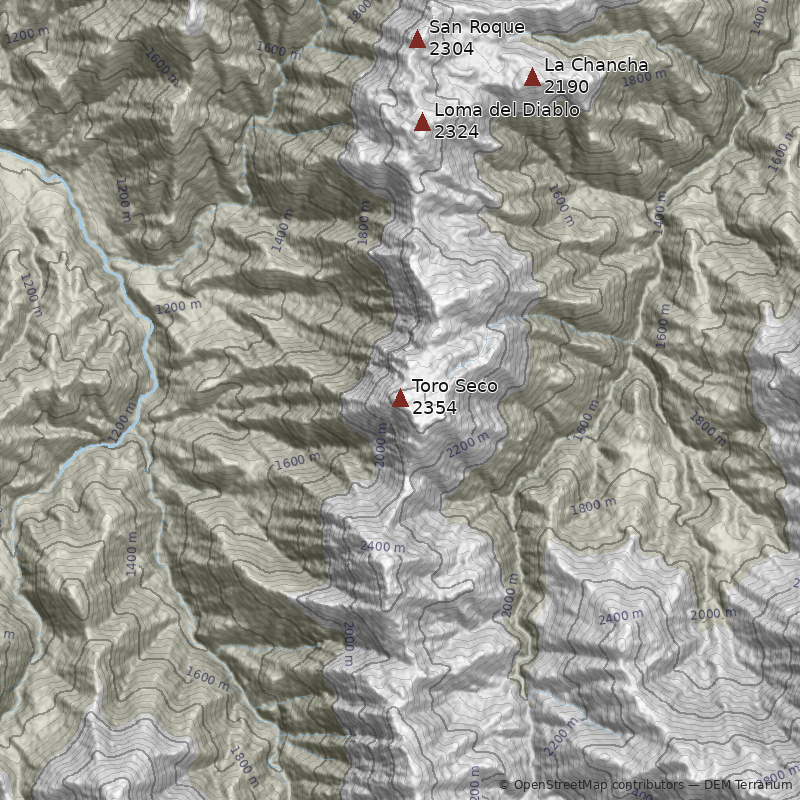 Mapa Cerro Toro Seco