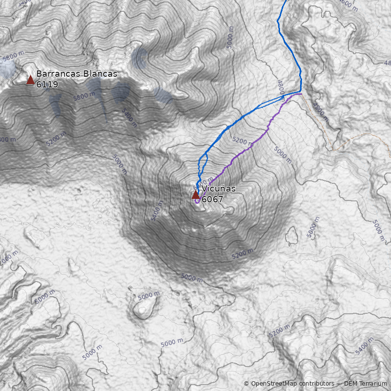 Mapa Cerro Vicuñas