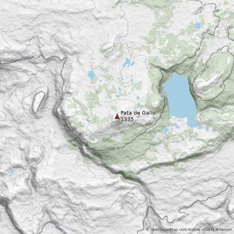 Mapa Cerro Pata de Gallo